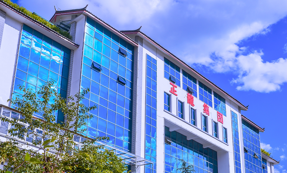 丽江正龙实业集团有限公司 丽江正龙实业集团有限公司