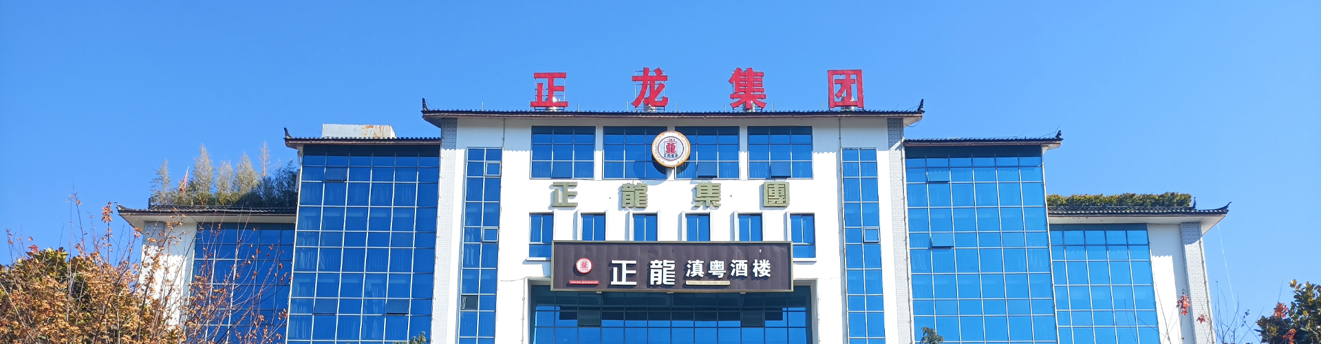 丽江正龙实业集团有限公司